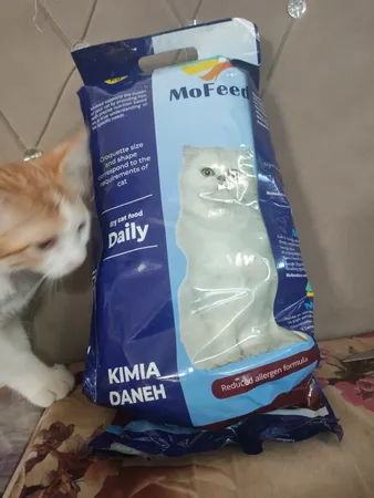 غذای خشک گربه مفید مدل ADULT1400 وزن 2 کیلوگرم