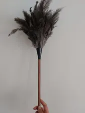 تجریه خرید گردگیر آلین مدل Ostrich Feather 2