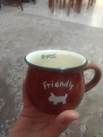 ماگ رجینال کد 1