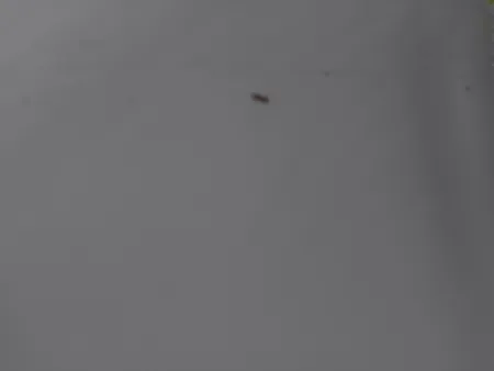 بوم دفترچه ای پیشگام مدل  WIRED سایز 20×30 سانتی متر