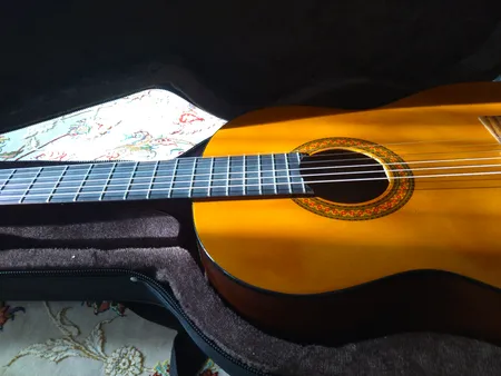 هارد کیس گیتار کلاسیک مدل black