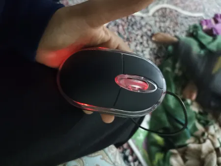 ماوس پی نت مدل Z.1