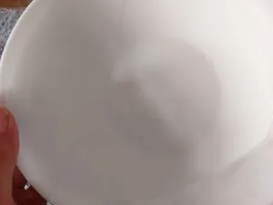 تجریه خرید سرویس غذاخوری 26 پارچه گلدن اوپال مدل پرومیتو