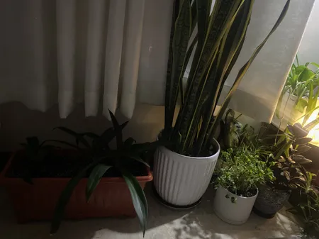 گلدان مدل پلاستیکی مستطیلی کد Sh46