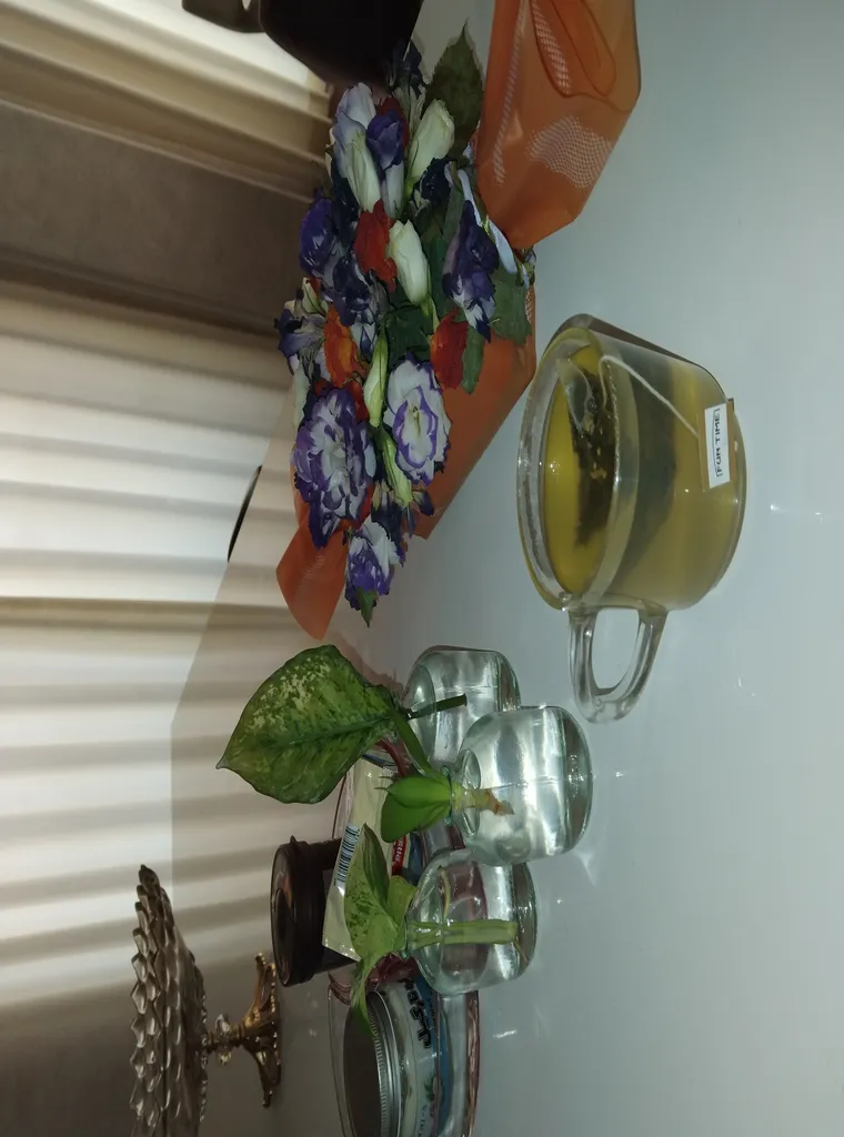 چای ماچا با جنسینگ فان تایم بسته 14 عددی