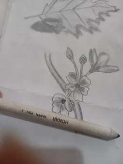 محو کن هنر مدل پیپرپن 3