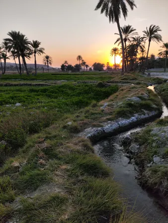 گوشی موبایل شیائومی مدل Poco F5 5G دو سیم کارت ظرفیت 256 گیگابایت و رم 12 گیگابایت - گلوبال