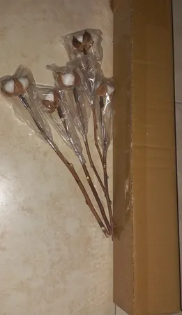 گل خشک مدل شاخه پنبه بسته ی 5 عددی