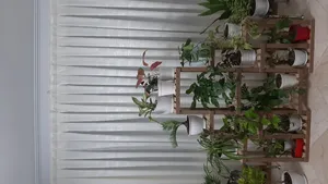 تجریه خرید استند گلدان مدل A013-B1