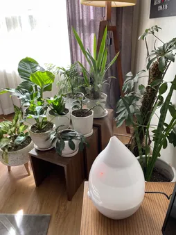 بخور سرد مدل HUMIDIFIER