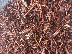 تجریه خرید چای شمال ساقه یا چوب - 500 گرم