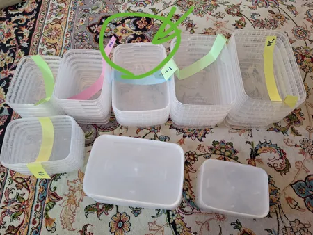 ظرف نگهدارنده پولاد پویش مدل فریزری کد 102 مجموعه 30 عددی