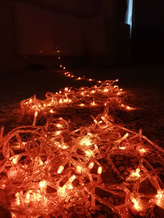 ریسه ال ای دی روژ کد  به طول 25 متر