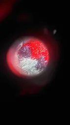 میکروسکوپ جیبی مدل 9592