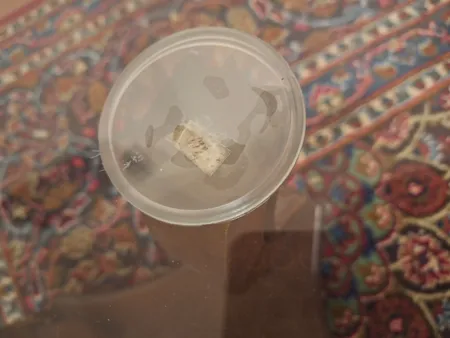 زیر پایه مبل مدل گرد ساده بسته 8 عددی