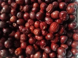 تجریه خرید عناب صادراتی آنید - 1000 گرم