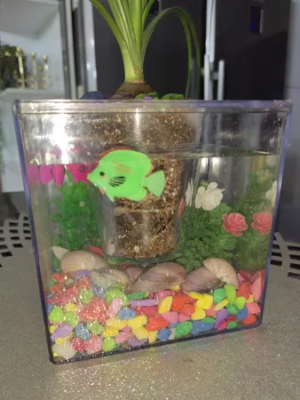 ماهی تزئینی آکواریوم مدل نگاه مجموعه ۴ عددی