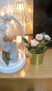 تجریه خرید گلدان به همراه گل مصنوعی ایکیا مدل FEJKA-0039