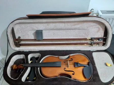 هاردکیس ویولن مدل MAGHSN