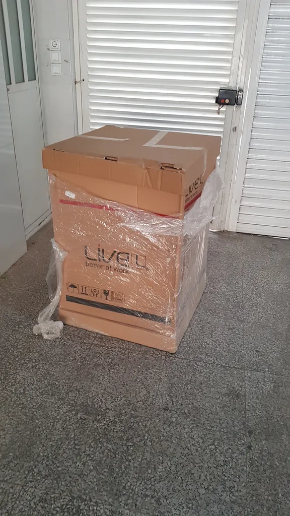 صندلی مدیریتی لیو مدل X81sp