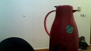 تجریه خرید فلاکس مدل اس تی ا گنجایش 1.9 لیتر