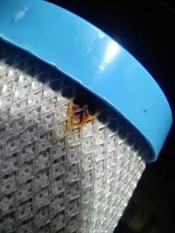 فیلتر دستگاه تصفیه کننده آب آکوا سان ری مدل LK مجموعه 3 عددی