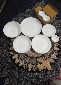 تجریه خرید سرویس غذاخوری 26 پارچه دینو مدل 1049 ورژن 3