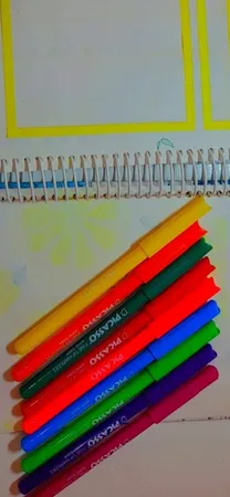 ماژیک رنگ آمیزی 12 رنگ پیکاسو مدل Fine TIP