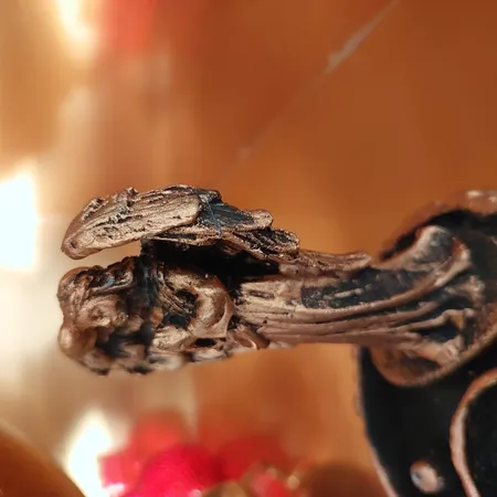 جاعودی مدل دایره ای طرح فرشته