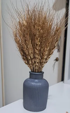 دسته گل خشک مدل خوشه گندم کد 40