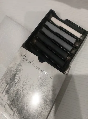 زغال طراحی پژواک کد 82496 بسته 6 عددی