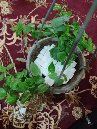 عکس ارسالی خریدار
