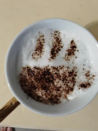 شابلون تزیینی قهوه مدل P-2 مجموعه 16 عددی