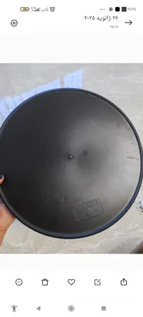 سینی مدل leaves