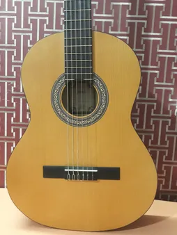 گیتار پارسی مدل M2