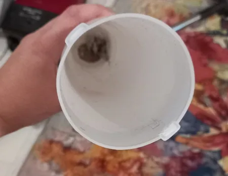 فیلتر جاروبرقی آرمان کد 2025 مناسب برای جاروبرقی های بوش فیلیپس و سامسونگ