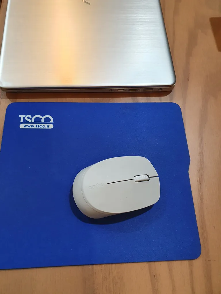 ماوس بی سیم رپو مدل M100 Silent