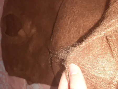 پلیور مردانه مدل پشم شتر