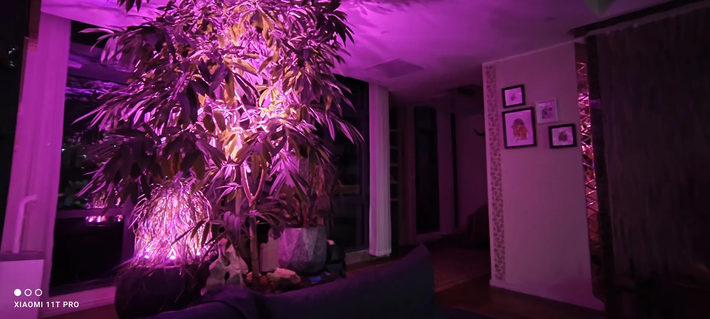 لامپ رشد گیاه 15 وات لایت ویژن مدل hp1-5w بسته سه عددی