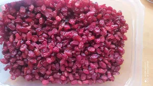 تجریه خرید زرشک دانه اناری 125 - 250 گرم