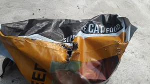 تجریه خرید غذای خشک گربه مفید مدل Supportive Food وزن 10 کیلوگرم