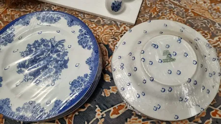 سرویس غذاخوری 28 پارچه چینی زرین ایران سری ایتالیا اف مدل فلورانس درجه سه