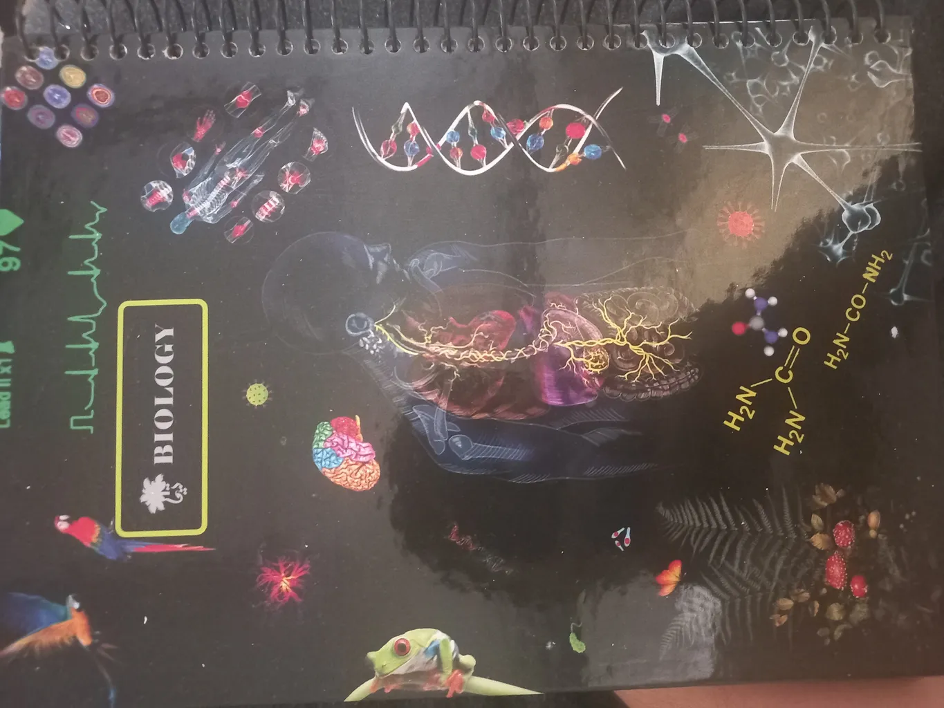 دفتر مشق 100 برگ تیما مدل کالج مجموعه 4 عددی