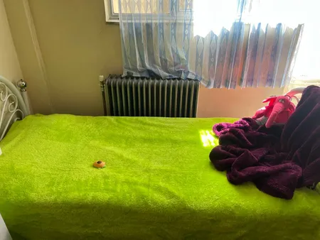 پتو افرا هوم مدل بهاره لاواترا کد 2206 سایز 170×220 سانتی‌ متر