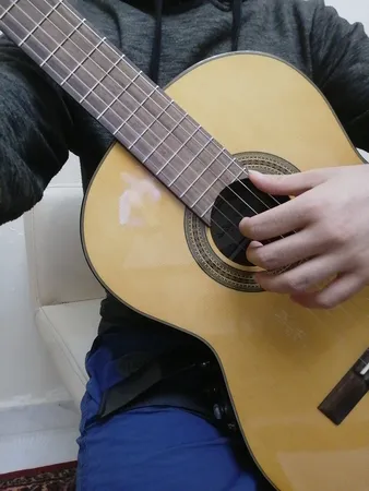 نگهدارنده گیتار اس آ مدل Hamsaz