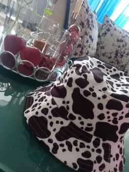 کلاه مدل باکت گاوی