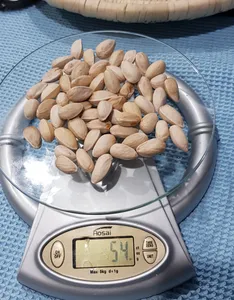 تجریه خرید پسته اکبری خام ممتاز هیرشا - 350 گرم