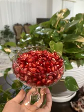 تجریه خرید بستنی خوری پاشاباغچه مدل بیسترو کد 44136 بسته 6 عددی