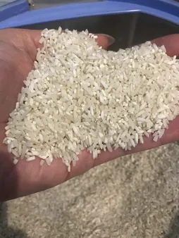 برنج ایرانی لاشه گیلان - 10 کیلوگرم