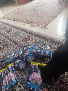 تجریه خرید غذای پوچ گربه فلیکس مدل طعم بره وزن 85 گرم